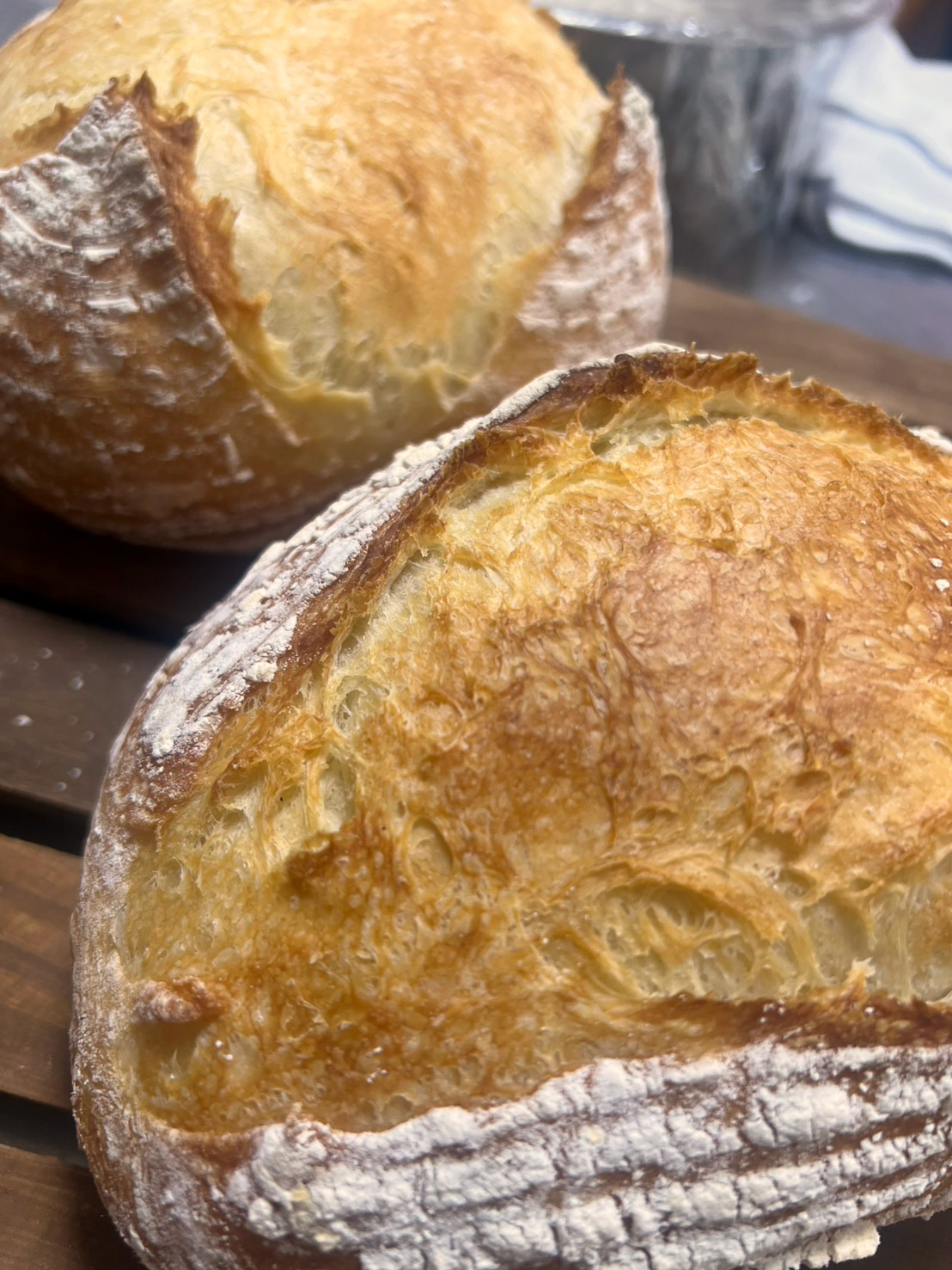 1/24（土） 小麦の虜出店